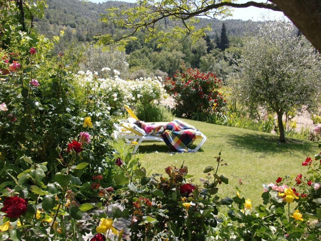 Le Grand Jardin Bed & Breakfast Lafare Exterior foto