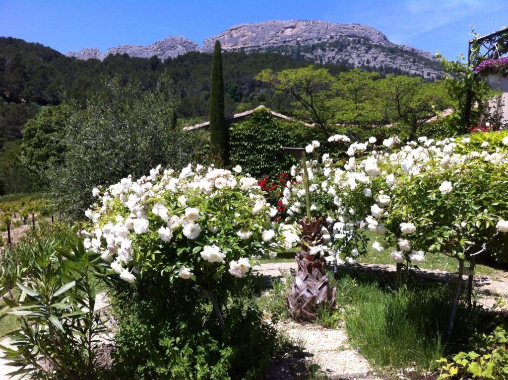 Le Grand Jardin Bed & Breakfast Lafare Exterior foto