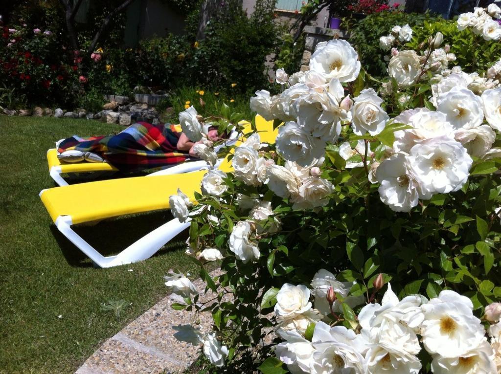 Le Grand Jardin Bed & Breakfast Lafare Exterior foto