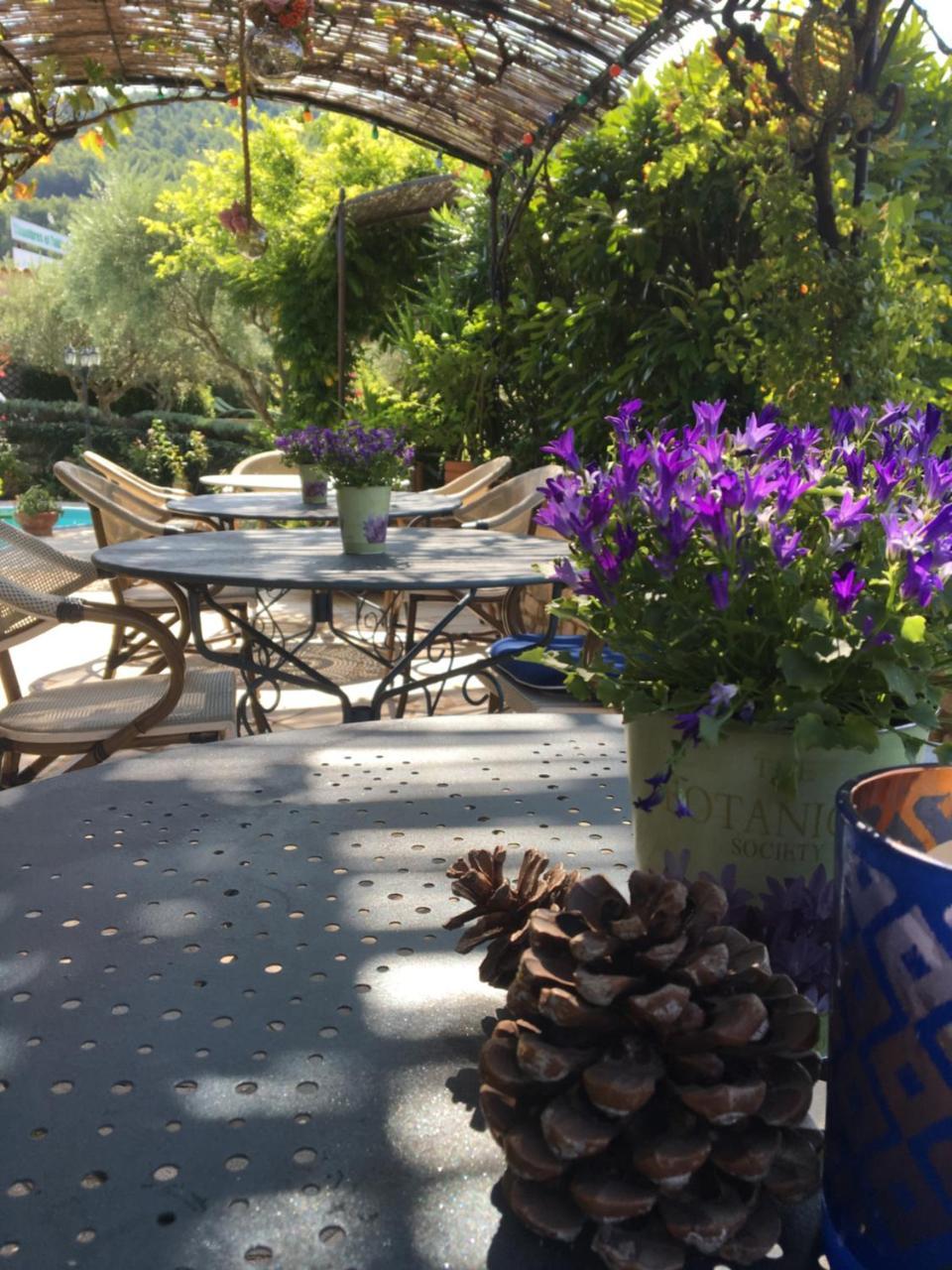 Le Grand Jardin Bed & Breakfast Lafare Exterior foto