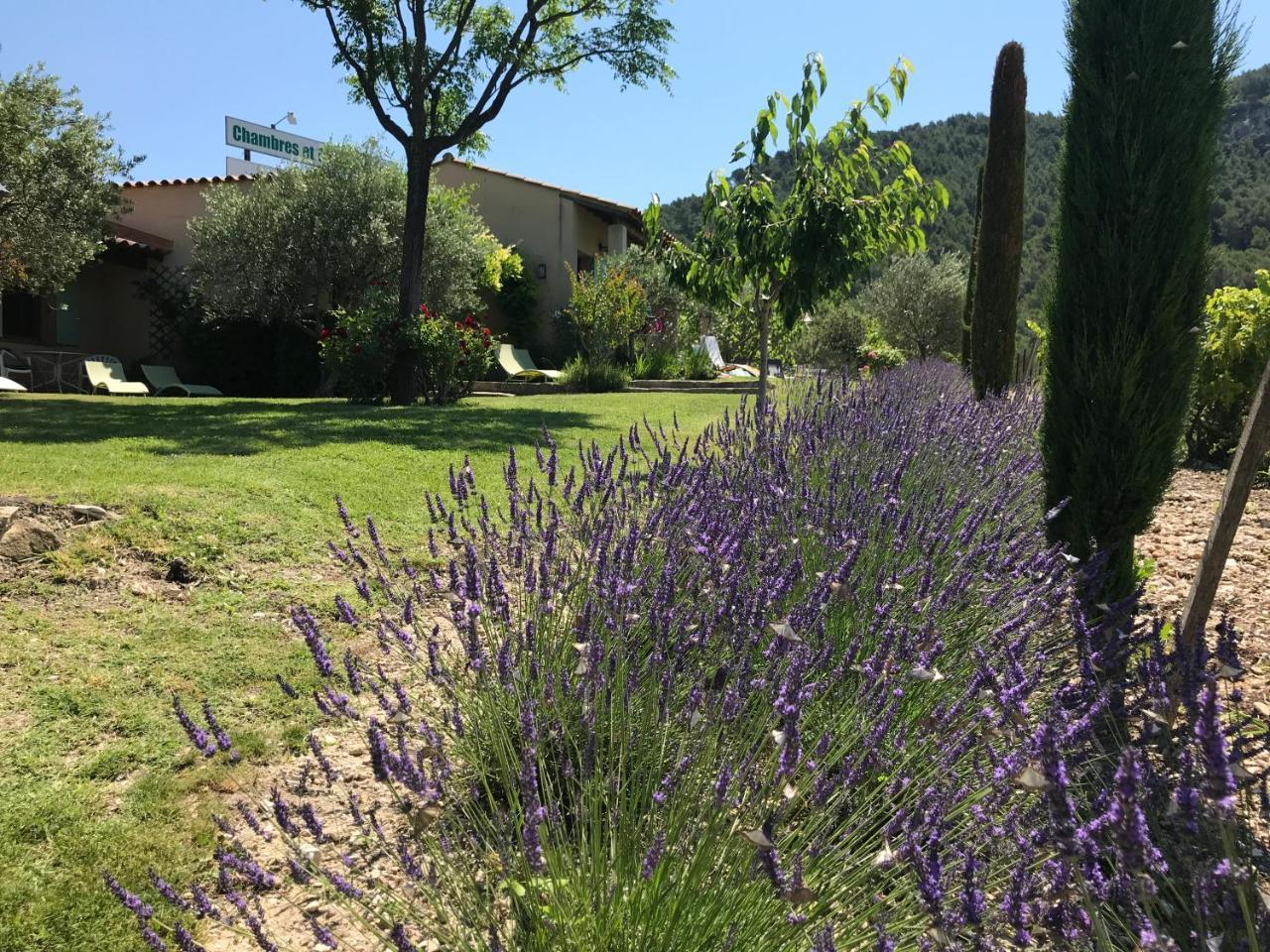 Le Grand Jardin Bed & Breakfast Lafare Exterior foto