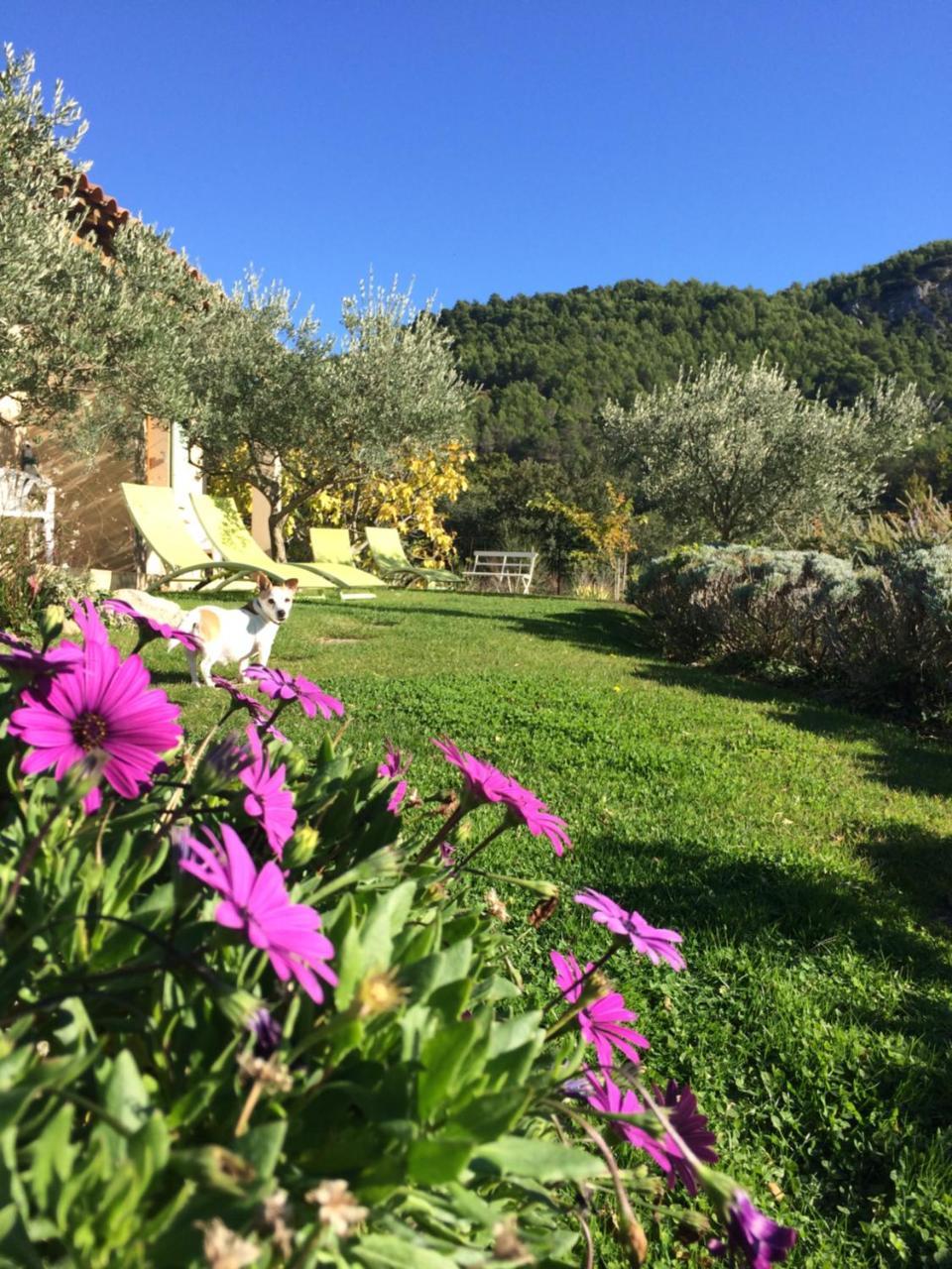 Le Grand Jardin Bed & Breakfast Lafare Exterior foto