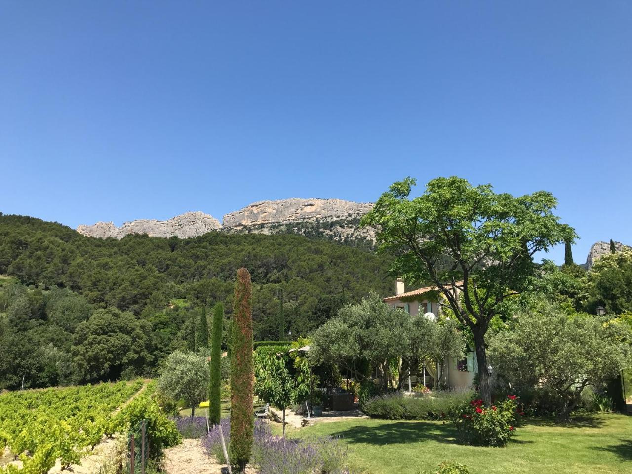 Le Grand Jardin Bed & Breakfast Lafare Exterior foto